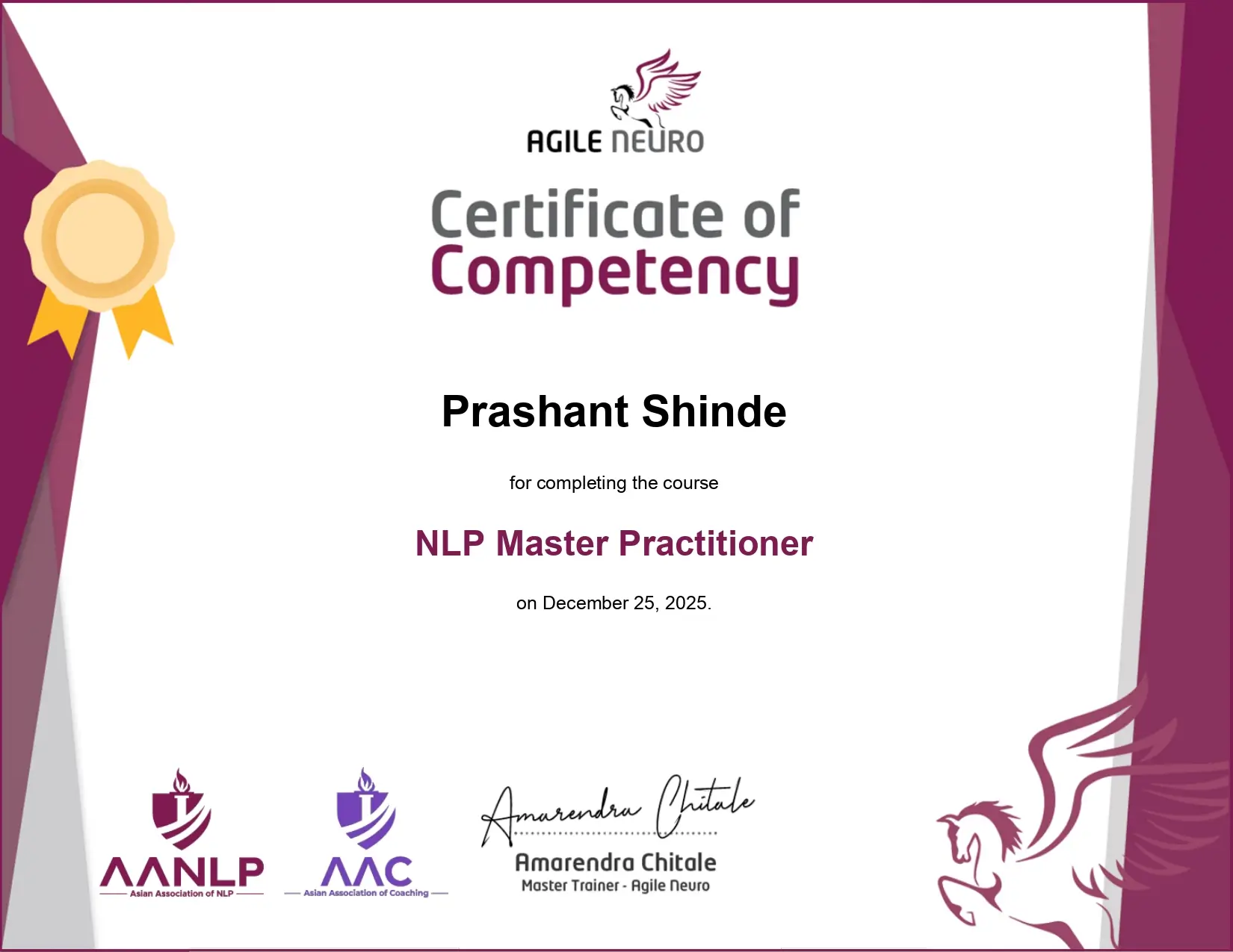 NLP Master Practitioner Certificate